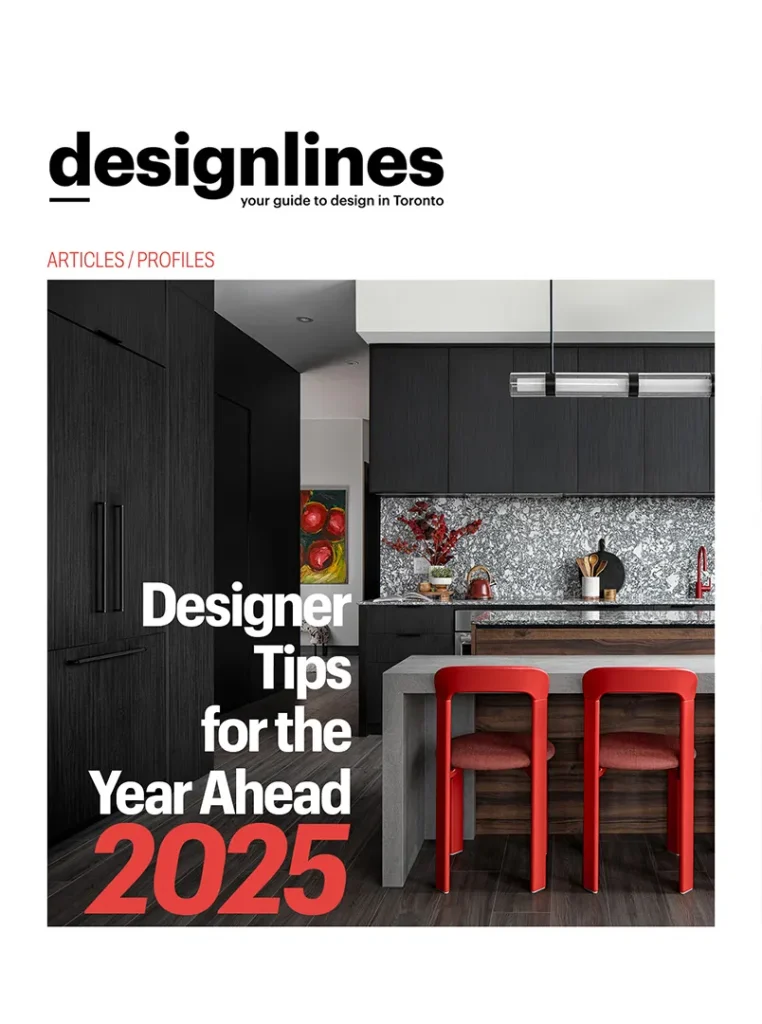 Designlines Magazine Dec19 2024